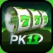 Pk11 Game